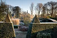 Clipped Taxus - Yew hedges and pyramid topiary in formal  garden in winter - Winfield House