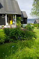 Cottage garden with meadow and herbaceous border. Planting includes Geranium 'Patricia', Centaurea cyanus, Alchemilla mollis and Leucanthemum vulgare and Humulus lupulus 'Aureus' - Scotland