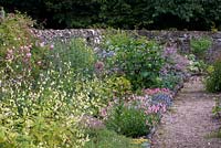Coastal garden with border of Nicotiana langsdorfii and Diascia, sheltered by a stone wall