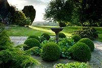 Summer garden with sundial surrounded by Buxus balls interplanted with Bergenia. 