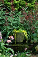 Wildlife conservation garden with water feature in container and Lobelia