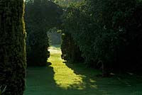 Arch in hedge with sunlight on grass