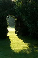 Arch in hedge with sunlight on grass
