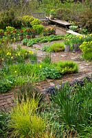 Spring in the Brick Garden at Glebe Cottage. Narcissus jonquilla 'Flore Pleno' in galvanised buckets, Tulipa 'Abu Hassan' in terracotta pots and brick paths