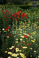 Anthemis tinctoria 'Sauce Hollandaise', Achillea and Lychnis chalcedonica in red and yellow flowerbed 
