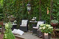 Modern styled black wicker garden furniture with an assortment of decorative metal containers. Plants are Buxus, Hedera helix, Hydrangea macrophylla and Lobelia  