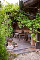Vitis vinifera - Vine covering a wooden terrace with traditional Bavarian furniture and plants in pots