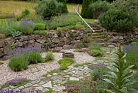 Gravel garden with granite paved pathway, water basin, a dry stone wall and moss covered granite stairs to an upper level. Plants are Euphorbia myrsinites, Lavandula, Pinus mugo, Thymus and Verbascum