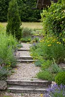 Steps made from wooden blocks and gravel landings leads towards and upper level of the garden. Achillea filipendulina, Buxus, Thymus and Vitis vinifera