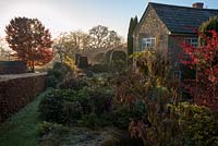 Frosty morning with sun filtering through liquidambar into cottage garden. Chiffchaffs, Bourton, Dorset, UK