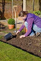 Step by step for planting Rosa 'Iceberg' - backfilling with soil