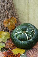 Besom broom and squash on doorstep with fallen autumn leaves from Liriodendron tulipifera