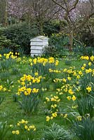 Millennium Garden, Lichfield, in spring