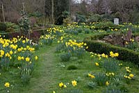 Millennium Garden, Lichfield, in spring