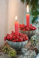 Cotoneaster berries in small jelly moulds with candles, for Christmas table decorations