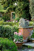Parterre with box hedges, topiary and beds of tulips - Olivers, Essex