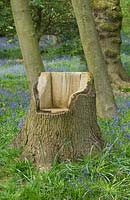Seat carved from tree trunk 