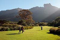Kirstenbosch National Botanical Gardens, Table Mountain, Cape Town, South Africa