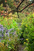 Looking along path towards a bench at Glebe Cottage in autumn with Aster 'Little Carlow' and Helianthus 'Lemon Queen'