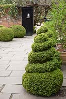 Shaped topiary alongside pathway - West Green House, Hampshire
