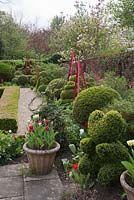 Clipped hedging, topiary and decorative obelisks in The Alice Garden in spring - West Green House, Hampshire