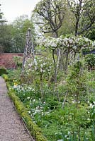 Spring planting alongside formal pathway with obelisk - West Green House, Hampshire