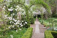 Pathway through Magnolia and Prunus - West Green House, Hampshire