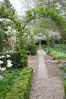 Pathway through Magnolia and Prunus - West Green House, Hampshire
