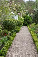 Topiary lollipops alongside formal pathway in spring - West Green House, Hampshire