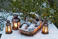 Christmas themed still life in snow with wooden trug containing flowerpots and fir cones, lanterns and Mistletoe