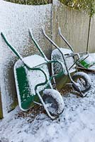 Two garden wheelbarrows leaning up against fence, covered in snow, January