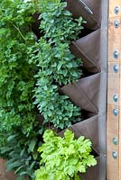Herbs growing in a vertical vegetable container. The Burgeon and Ball 5 a day Garden. Hampton Court Flower Show 2012