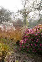 Spring planting including Rhododendron, Magnolia and Salix - Sherwood Garden, Devon