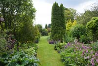 Grass pathway through herbaceous borders wuth box topiary - Mount Court Farmhouse