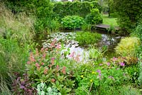Natural pond and planting of Geranium, Rodgersia pinnata, ornamental grasses - Mount Court Farmhouse