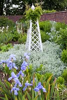 Summer border and wooden obelisk with flowering irises in foreground at Old Bladbean Stud.
