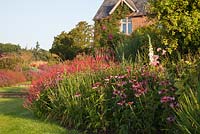 Planting includes Persicaria amplexicaulis 'Taurus', Echinacea purpurea 'Magnus' and Rosa rugosa 'Roseraie de l'Haie' - Brockhampton Cottage, Herefordshire
