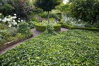 Summer garden with Hedera used as ground cover and trees