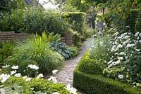 White themed borders in formal garden with clipped box hedges and Cosmos
