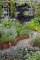 The herb garden with Borago, tiles used as edging and an old bicycle 