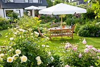 Seating area on lawn, Rosa 'The Pilgrim' and Rosa 'Mary Rose' in foreground