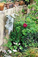 Ox skull. Rosa rugosa 'Roserie de L'Hay'. Purple sage. Pots on wall.  - Touchwood Garden, Swansea, Wales. UK. May. 