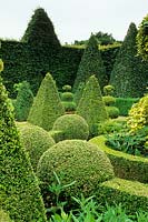 Clipped topiary of Box in the Dutch Garden - East Ruston Old Vicarage, East Ruston, near Norwich, UK 