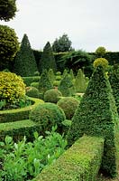East Ruston Old Vicarage, East Ruston, near Norwich, UK. Clipped topiary of box in the Dutch Garden. Ilex 'Golden King'