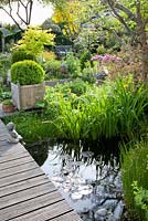 Wooden bridge over pond, planting includes Iris pseudocarus and Acer shirawasanum 'Aureum'