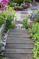Wooden pathway, planting includes Azalea and Alchemilla mollis