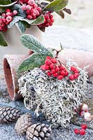 Frosty reindeer moss heart with cotoneaster berries and cones