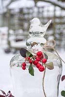 Gaulteria procumbens berries decorating snowy cloche