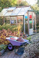 Autumnal garden with greenhouse, wheelbarrow, Sedum and Aster