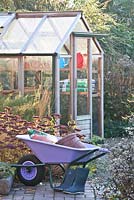 Autumnal garden with greenhouse, wheelbarrow, Sedum and Aster
